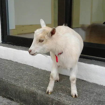 Holiday home Betty's *