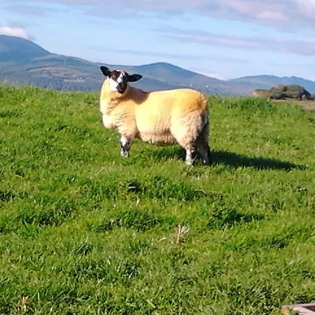 Betty's Σπίτι διακοπών Ardea