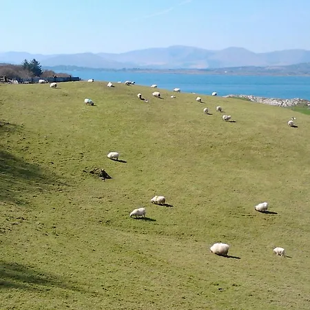 Betty's Holiday home Ardea