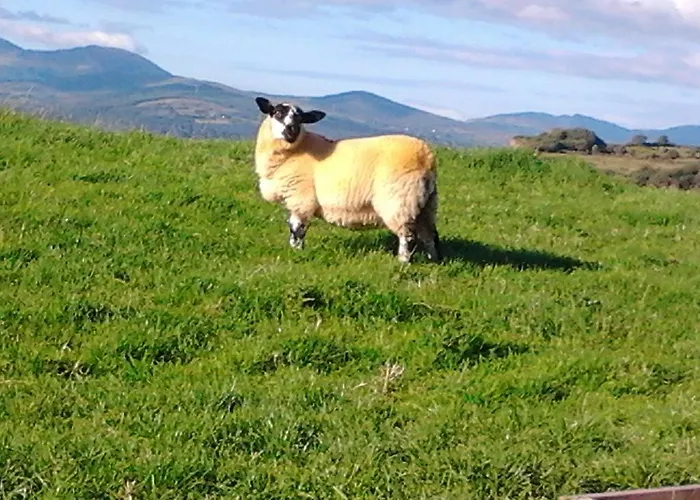 Betty's Дом отдыха Ardea